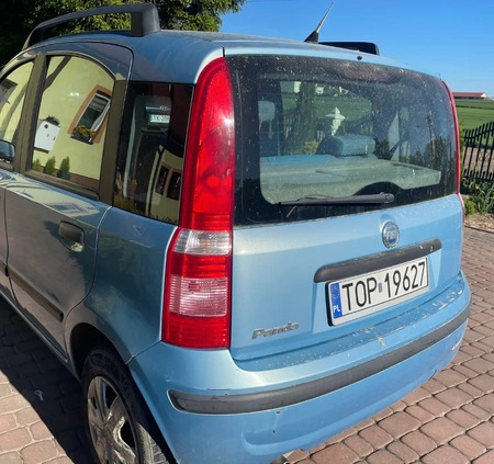 Fiat Panda cena 6500 przebieg: 202360, rok produkcji 2005 z Sulechów małe 4